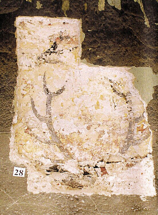  Masná čp. 129, detail pozdně středověké výzdoby v přízemí, zdroj: Arteco B. M. s.r.o., autor: J. Bloch, 2003