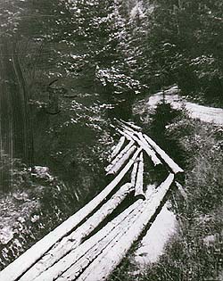 Schwarzenberger Schwemmkanal, schwimmende Stämme im Kanalbett, ein historisches Foto 