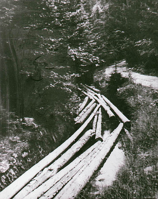 Schwarzenberger Schwemmkanal, schwimmende Stämme im Kanalbett, ein historisches Foto