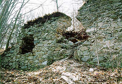 Hrad Velešín, zbytky zdiva, foto: V. Šimeček 