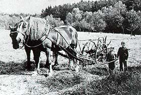 Kartoffelaushebepflug, genannt Teufel - ein historisches Foto aus der Region Český Krumlov 