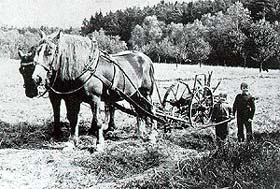 Potato plougher named Čert (Devil) - historical photo from Ćeský Krumlov region 