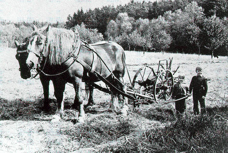 Potato plougher named Čert (Devil) - historical photo from Ćeský Krumlov region