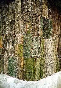 Zámek Červený Dvůr, park, domeček z kůry stromů - detail stěny 
