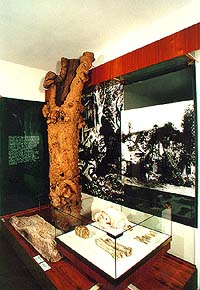 Ansicht der Urzeit-Exposition, die die archäologische Fundstelle aus der älteren Steinzeit in Dobrkovice näher bringt, Bezirksheimatmuseum in Český Krumlov 