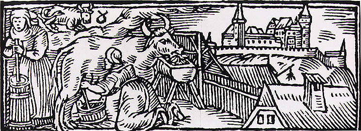Jan Willenberg, dojení mléka a stloukání másla, počátek 17. století