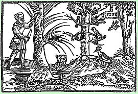 Fowler, woodcut from 1555 