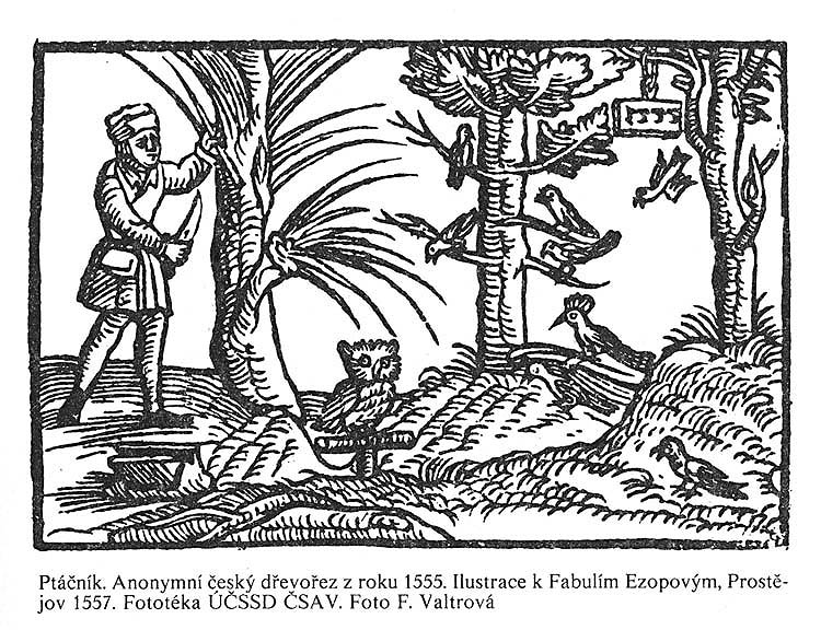 Fowler, woodcut from 1555
