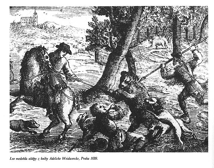 Bearhunting with spears, graphic from 1699