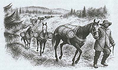Caravan of pack animals on the Gold Route, reconstruction, drawing Jiří Petráček 