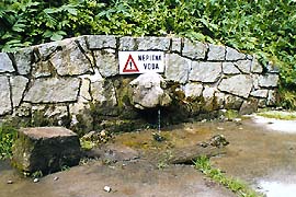 Fontána Lvíček v Jelení zahradě, stav k roku 1998 