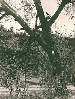 Vogeltempel bei Český Krumlov, hist. Foto, um 1920, Sammlungsfonds des Bezirksheimatmuseums Český Krumlov 