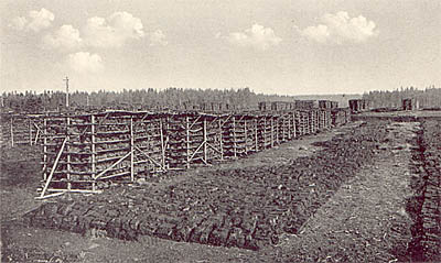 Trocknen von Torfziegeln im Šumava/Böhmerwald, historisches Foto 