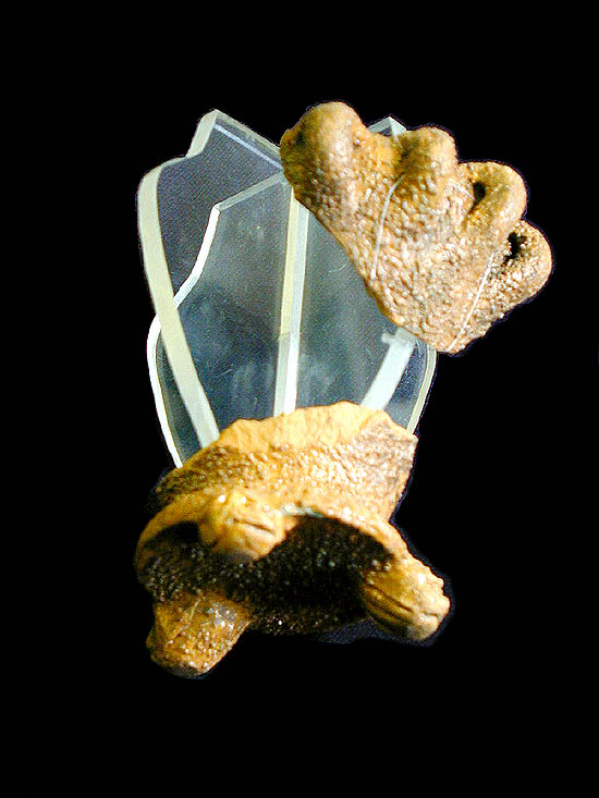 Zlomek imitace tzv. loštického pohárku na nožkách ve tvaru lvích hlaviček. V Lošticích na Moravě se hlavně ve 2. polovině 15. století vyráběla oblíbená keramika - zejména poháry s puchýřkovitým povrchem, způsobeným železitými příměsemi v keramické hmotě.