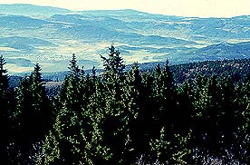 Pohled s vrcholu Kleti (1084 m) k jihozápadu, směrem na Chvalšiny. Foto Michal Ernée 1998.