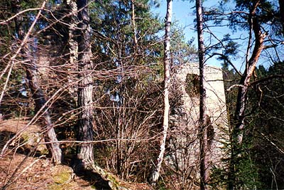 Die kleine Burg Louzek, Reste des Wohnpalastes 